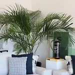Διαμέρισμα River Terrace & Pool View -